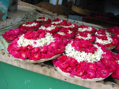 ajmer flowers at the arhai dinka jhonpra mosq
