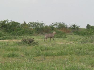 u47/clove/medium/30070315.thardessert02.jpg