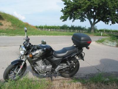 Motorrad im Weinviertel