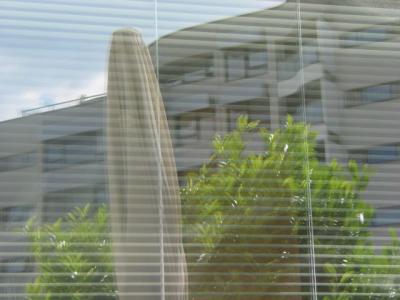 reflection of reality