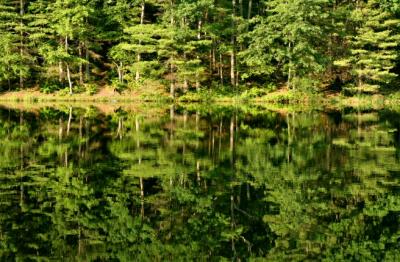 Chenango Valley State Park