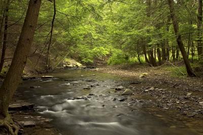 Fall Creek #2