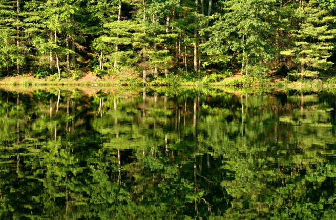 Chenango Valley State Park