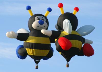 Boise Balloon Rally
