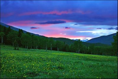 Sunset over a Meadow...