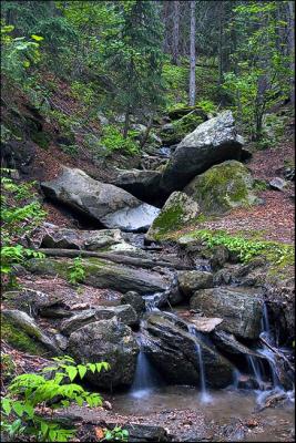 Small Stream in the Rain...