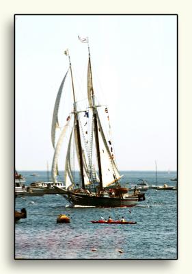 Day Two: The sun comes out and the schooners parade into the harbor.