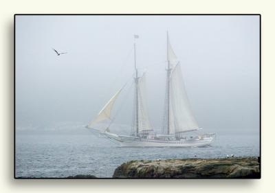 The day after, is foggy as the windjammers leave the area.