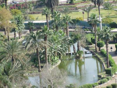 Nady al-Quahira Garden from our window.JPG