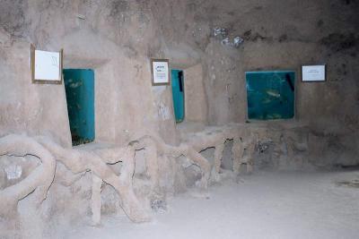 Fishtanks in the cave.jpg