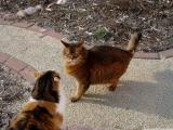 DSC01853.JPG