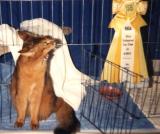 Beau registers his opinion