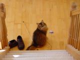 DSC02378.JPG