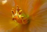 DSC03517.jpg