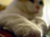 DSC04042.JPG