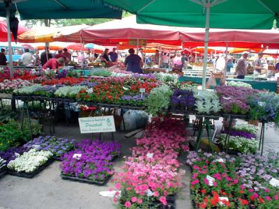 Market