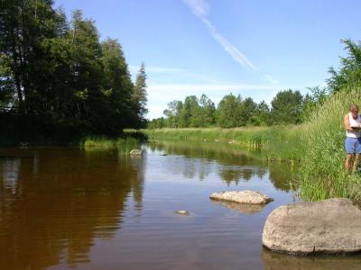 downstream end of section -- looking upstream