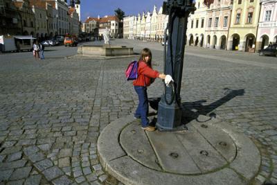 Telc Girl