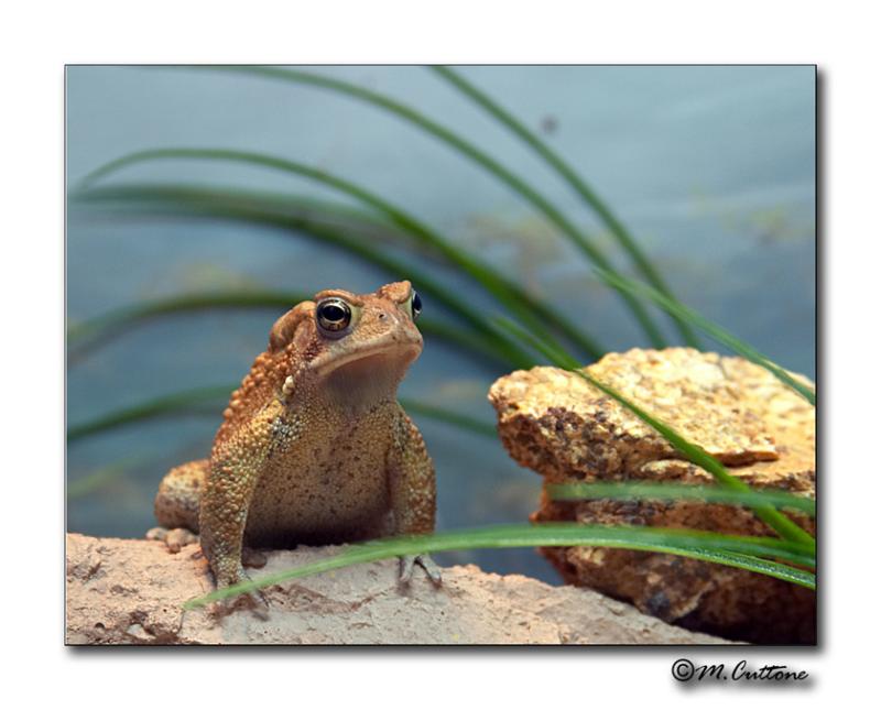 <b>Caught between a rock and a hard place</b><br>Mike_C *