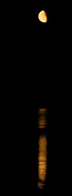 Moonshine *
