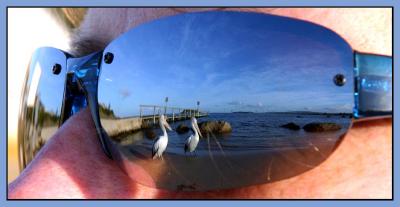 Do you see what I sea? * by Neil Lawson