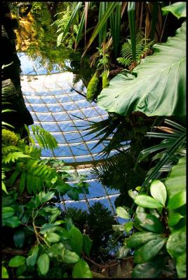 Jungle?by Art 2