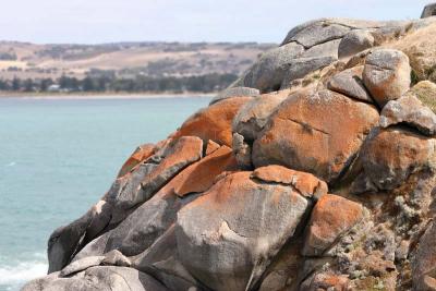 Lichen Rocks * Neil Lawson