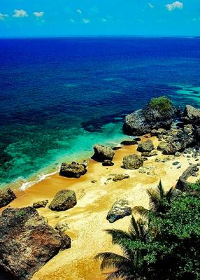 Rocks on the Beachby Vikas