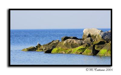 Stones To The Sea*Mike_C