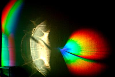 u47/cslr_challenge/medium/33947819.spectrum.jpg