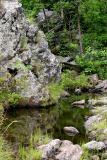 Pond in Great Falls Park