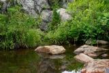 Pond in Great Falls Park