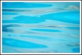 <b>The Deep End</b>