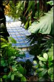 <b>Jungle?</b><br>by Art 2