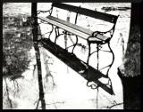 <b>After the Rain</b><br>by Art 2