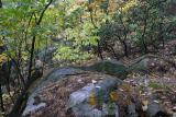 Rocks by the Path