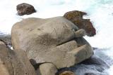 <b>Rock Face * </b> Neil Lawson