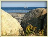 Stones Eye View *<br><br><b>8th Place (shared)</b>
