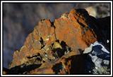 <b>*Jagged Edge*</b><br><i><font size =1>by Paul Stuckless</i>