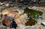 <b>Gloucester Rocks</b><br>Loren Charif