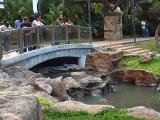 Stones at the Greenbelt by Bubut*