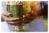 <b>Champions Hands</b> *
