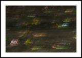 Autumn Rain