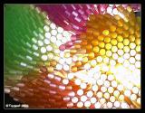 <b>9th Place (tie)</b><br><i>The Last Straw*<br>by Teapot</i>