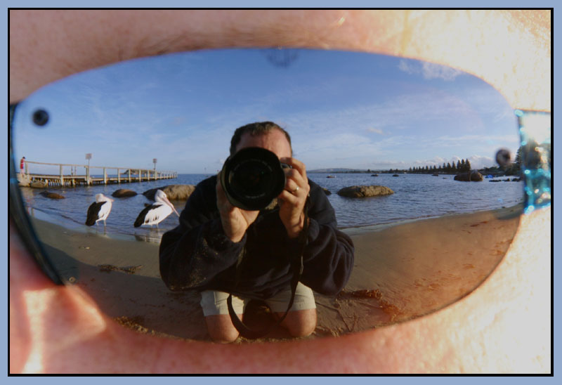<b> Fish Eye Sunglasses  *</b> by Neil Lawson