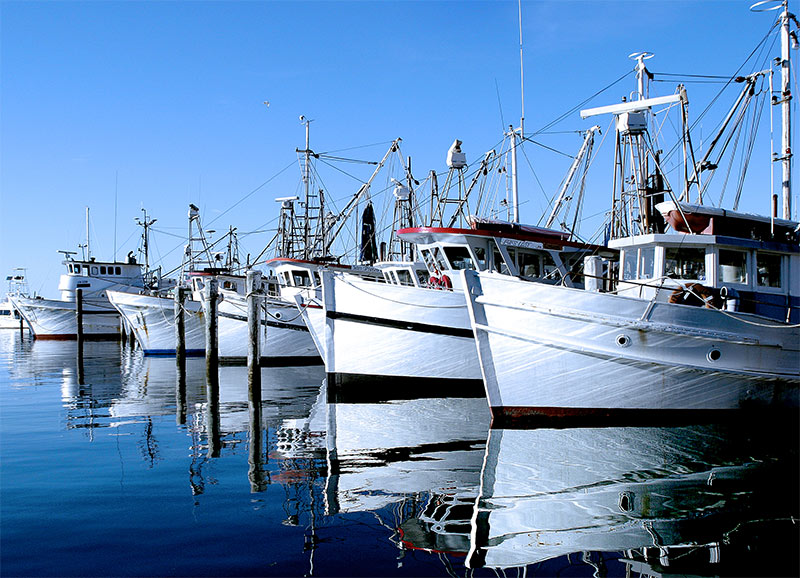 <b>7th Place <br> Port OCall</b><br><font size =1>thubleau
