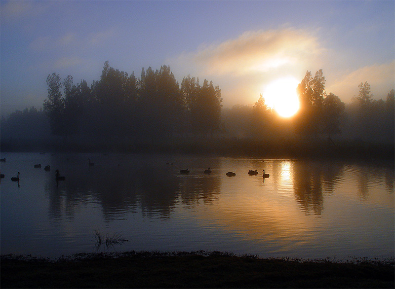 <b>Life Before Dawn</b><br><font size =1>thubleau