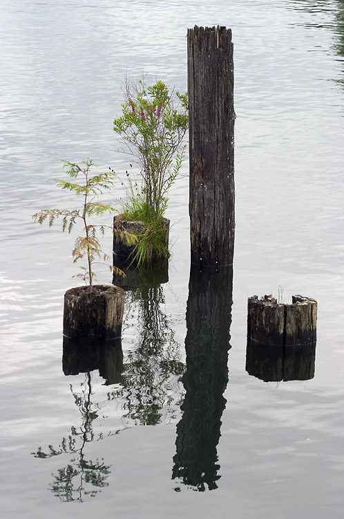 Pilings