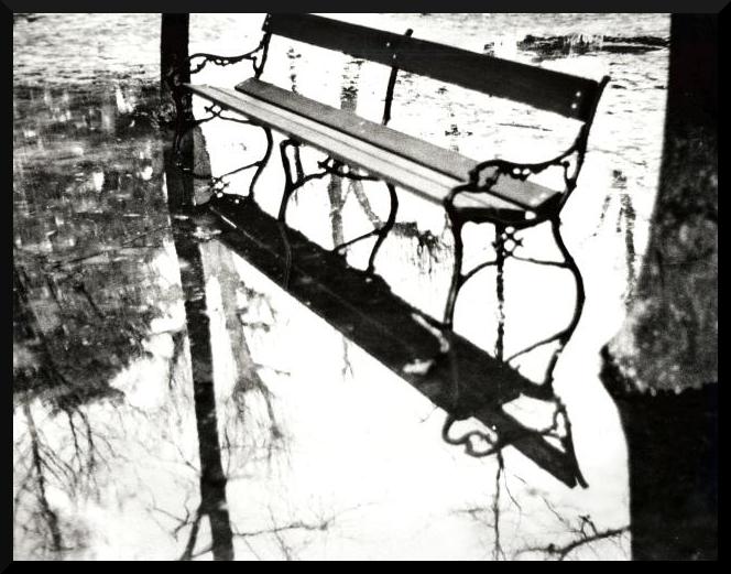 <b>After the Rain</b><br>by Art 2