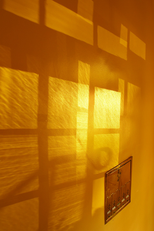 <b>Glass Reflections</b><br>